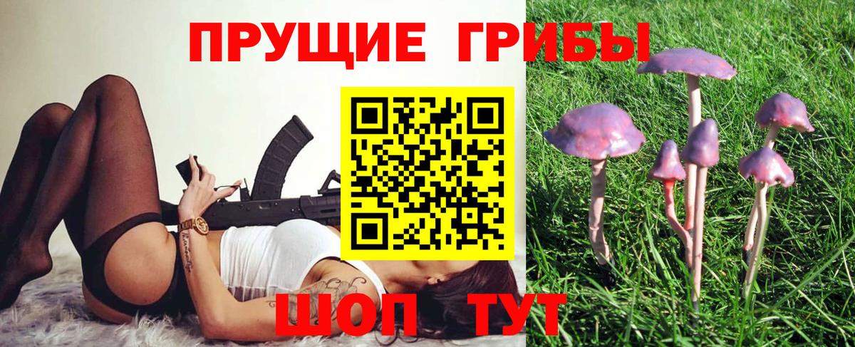 Минусинск  Псилоцибиновые грибы мухоморы  Вход с VPN 